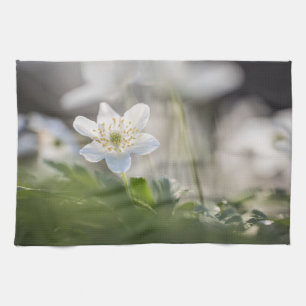 Windbloem Natuur Foto Theedoek