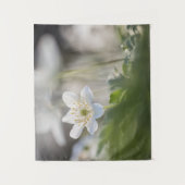 Windbloem Natuur Foto Wandkleed (Voorkant)