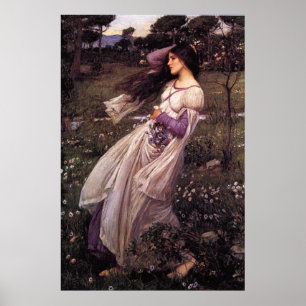 Windbloemen-door John William Waterhouse, 1902 Poster