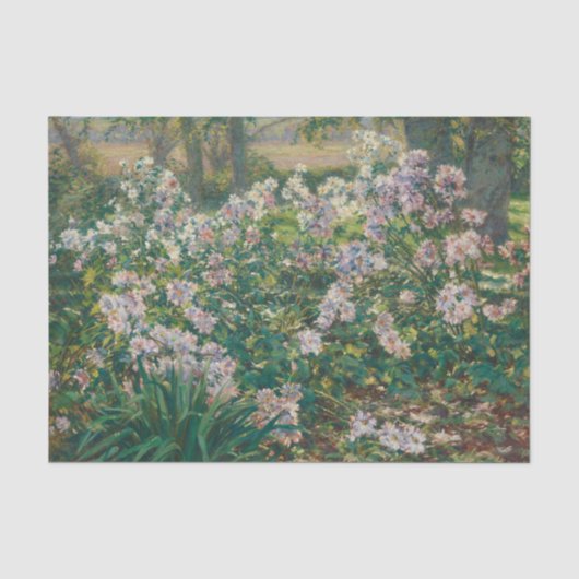  windbloemen door Painter Ruger Donoho Tissuepapier (Voorkant)