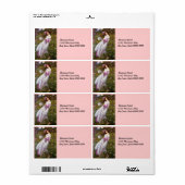Windbloemen in de weide etiket (Full Sheet)