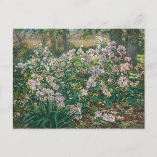 Windbloemen van Ruger Donoho Schilderij Wildbloem Briefkaart (Voorkant)