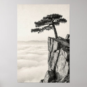 Windblown pijnboom boven de wolken Poster