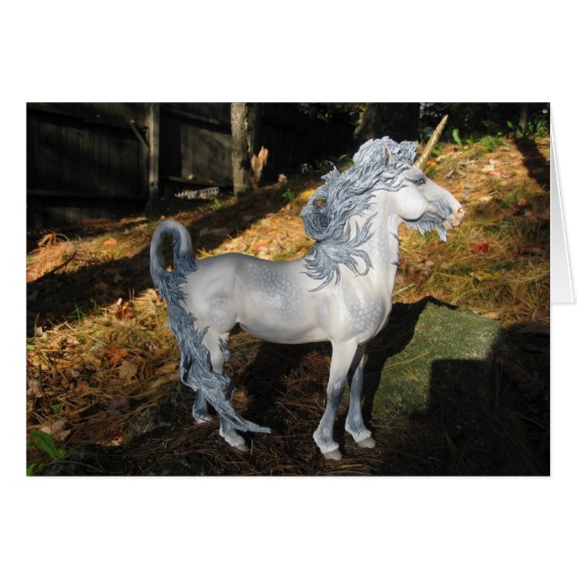 Windblown Unicorn (Voorkant Horizontaal)