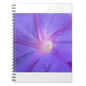 winde notitieboek (Voorkant)