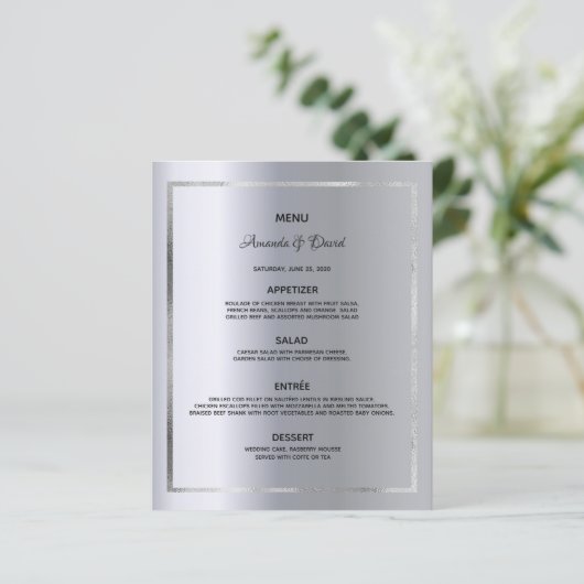 Windemuu zilverkleurige glazen (Staand voorkant)