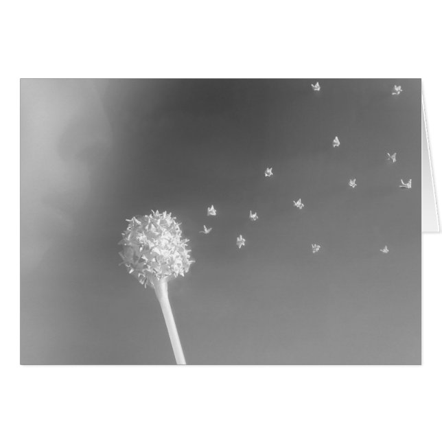 Windenergie (Voorkant Horizontaal)