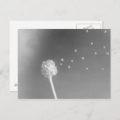 Windenergie Briefkaart (Voorkant / Achterkant)