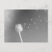 Windenergie Briefkaart (Voorkant)