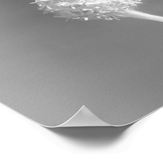 Windenergie Poster (Hoek)