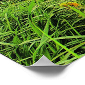 Windenergie, zonnebloemen (AFDRUKKEN) Poster (Hoek)