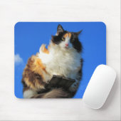 Winderig hierboven muismat (Met muis)