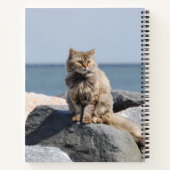 Winderige kat op zee Cute foto Notitieboek (Achterkant)