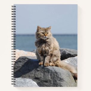 Winderige kat op zee Cute foto Notitieboek
