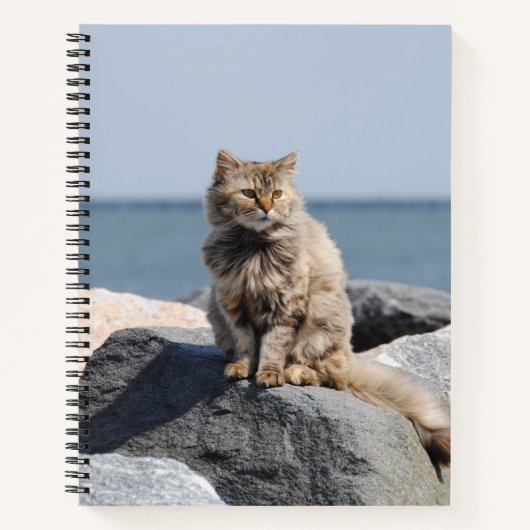 Winderige kat op zee Cute foto Notitieboek (Voorkant)