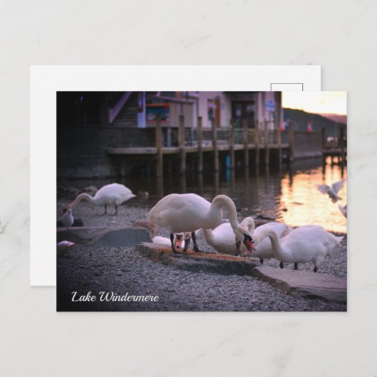 Windermere, het Lake District England Feestdagenkaart (Voorkant / Achterkant)