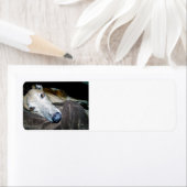 windhond 2.png etiket (Insitu)