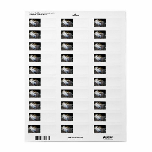 windhond 2.png etiket (Full Sheet)