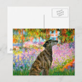 Windhond (br2) - Tuin Briefkaart (Voorkant / Achterkant)