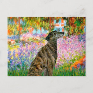 Windhond (br2) - Tuin Briefkaart