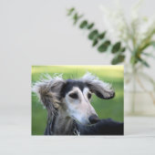 Windhond Briefkaart (Staand voorkant)