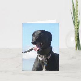 Windhond fotokaart (p11) kaart