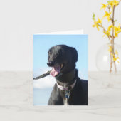 Windhond fotokaart (p11) kaart (Gele Bloem)