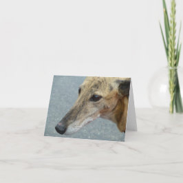 Windhond fotokaart (p291) kaart