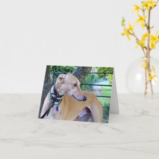 Windhond fotokaart (p9) kaart (Gele Bloem)