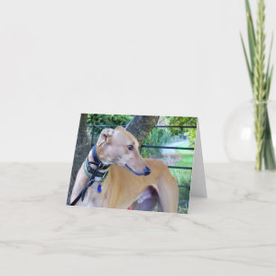 Windhond fotokaart (p9) kaart