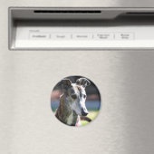 windhond magneet (Insitu (Vaatwasser))