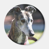 windhond magneet (Voorkant)