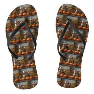 Windhond Puppy Herfstplezier Pompoen Teenslippers