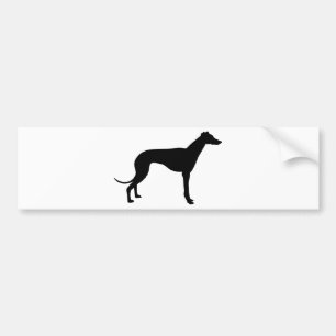 Windhond Silhouet Bumpersticker