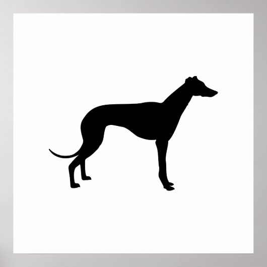 Windhond Silhouet Poster (Voorkant)