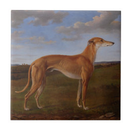 Windhond Tegeltje
