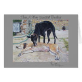 windhonden schilderachtig landschapskunst (Voorkant Horizontaal)