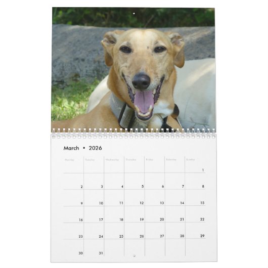 windhondenkalender kalender (Mar 2026)