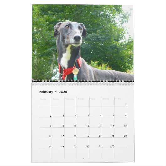 windhondenkalender kalender (Feb 2026)