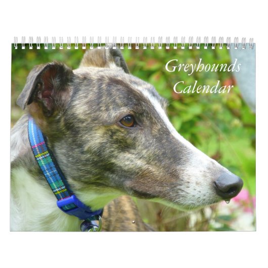 windhondenkalender kalender (Hoes)