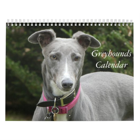 windhondenkalender kalender (Hoes)