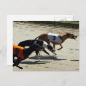 windhondenras briefkaart (Voorkant / Achterkant)