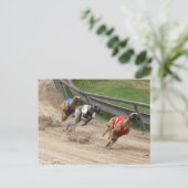 windhondenras briefkaart (Staand voorkant)