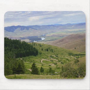 Winding Road Muismat