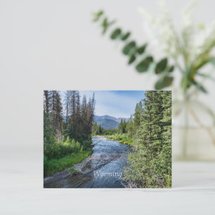 Winding Wyoming Stream (gelabeld) Briefkaart