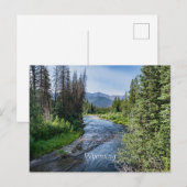 Winding Wyoming Stream (gelabeld) Briefkaart (Voorkant / Achterkant)