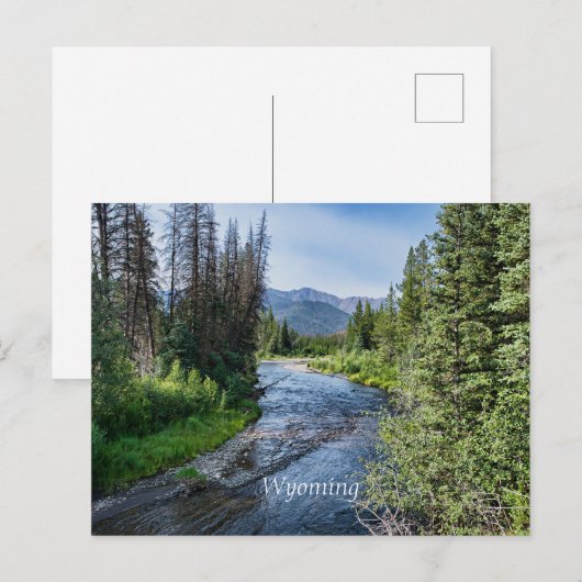 Winding Wyoming Stream (gelabeld) Briefkaart (Voorkant / Achterkant)