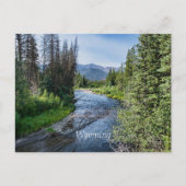 Winding Wyoming Stream (gelabeld) Briefkaart (Voorkant)