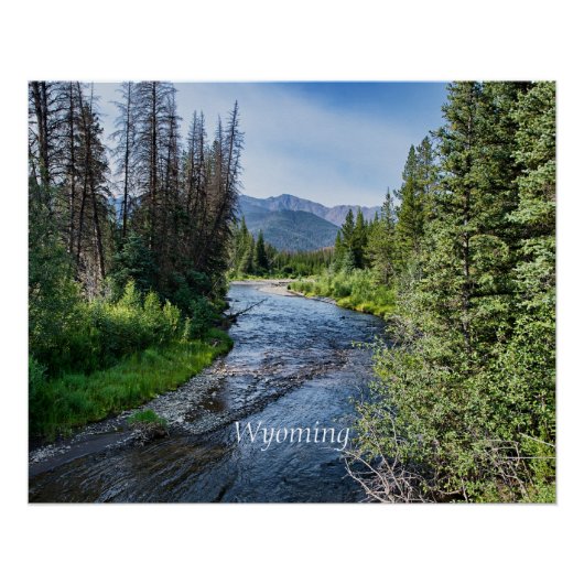 Winding Wyoming Stream (gelabeld) Perfect Poster (Voorkant)