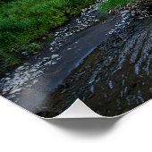 Winding Wyoming Stream (gelabeld) Perfect Poster (Hoek)